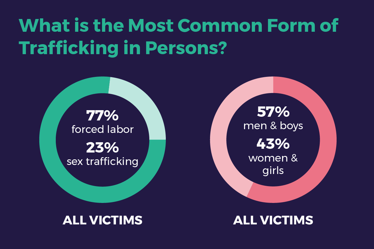 Illustrated infographic showing pie graphs to illustrate the most common form of human trafficking.