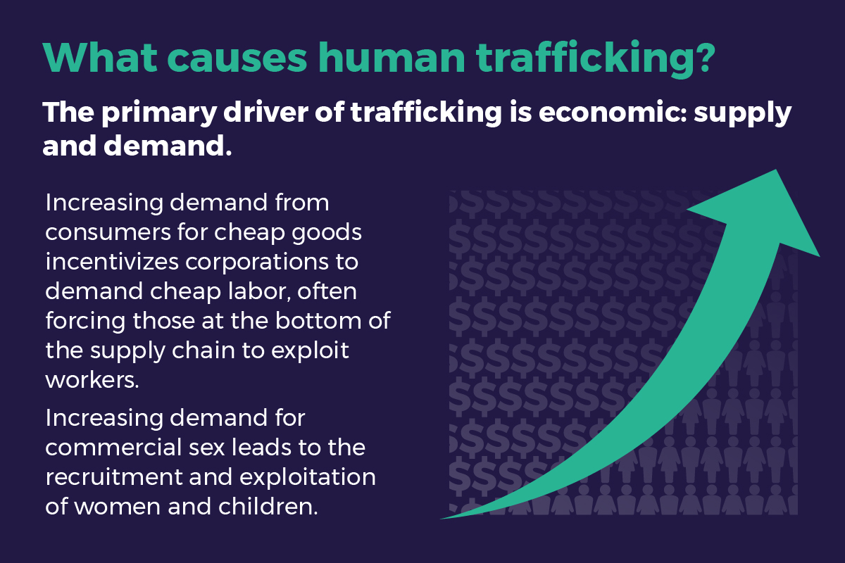 Illustrated infographic showing that the primary driver of trafficking is supply and demand. 